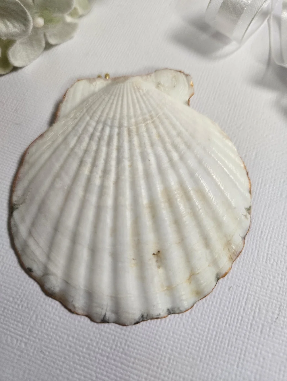 Hand Gilded Upcycled Jewelry Art Decoupage Shell Trinket Dish - Micro Florals